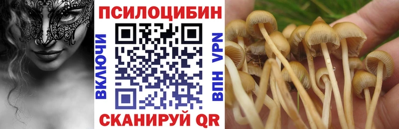 сколько стоит  Няндома  Галлюциногенные грибы прущие грибы 